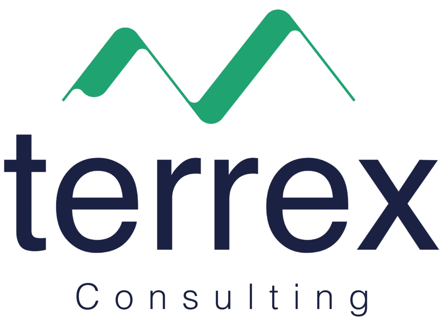 Terrex Consulting
